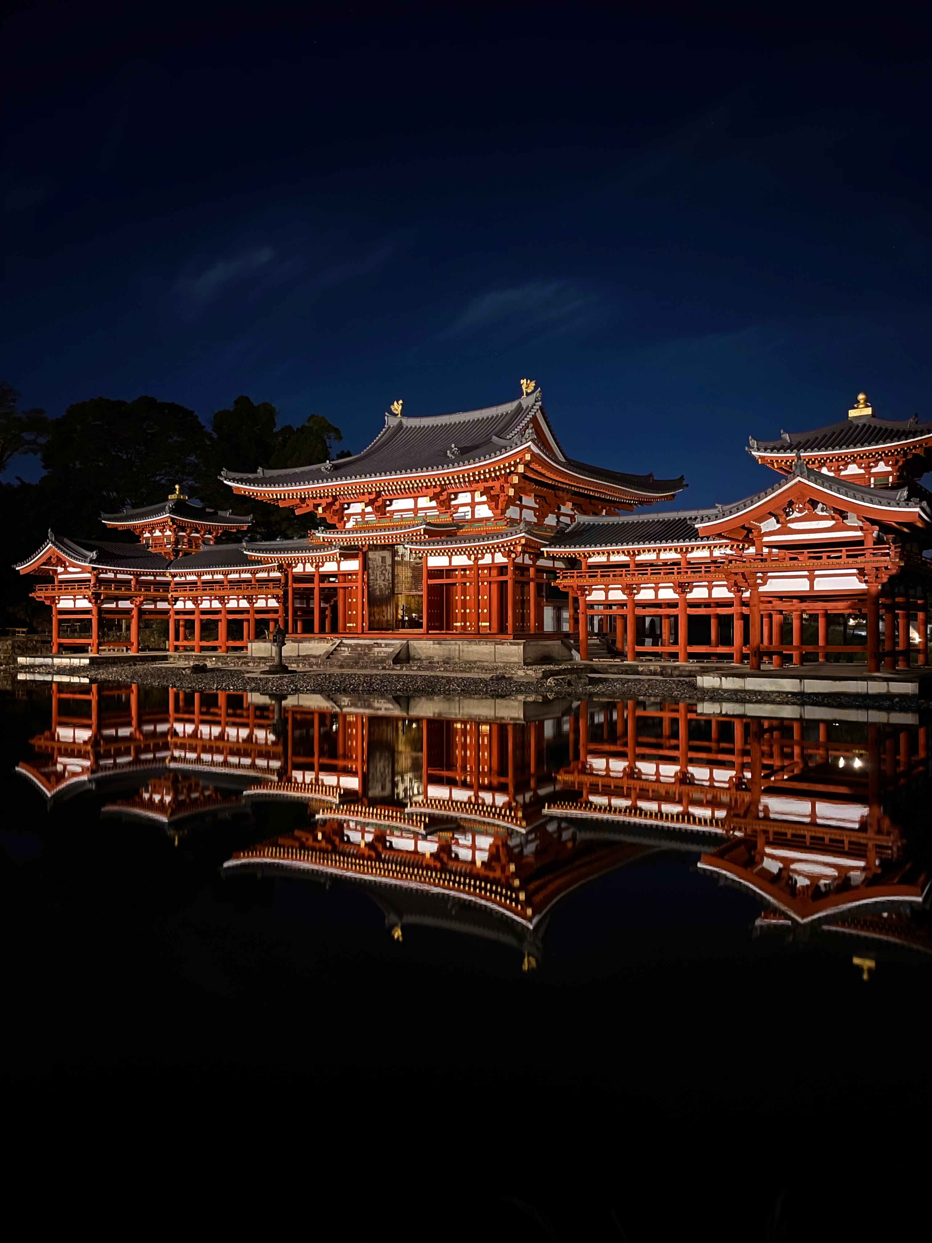 平等院夜間イメージ写真